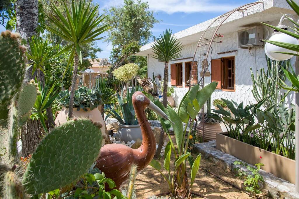 Renas Secret Garden House Villa Chania  Eksteriør billede